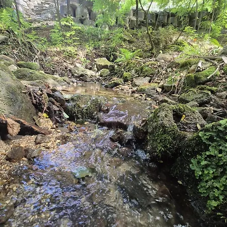 Little Haven * Lousada