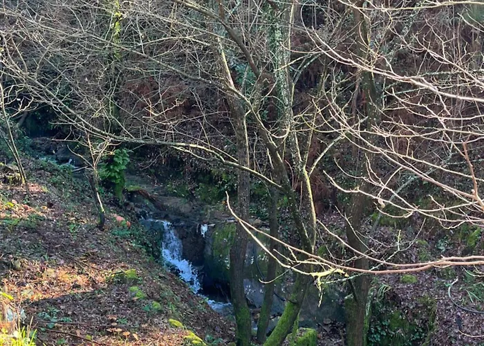 Little Haven Apartman *