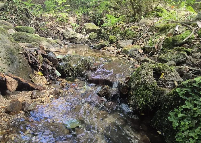 Little Haven * Lousada